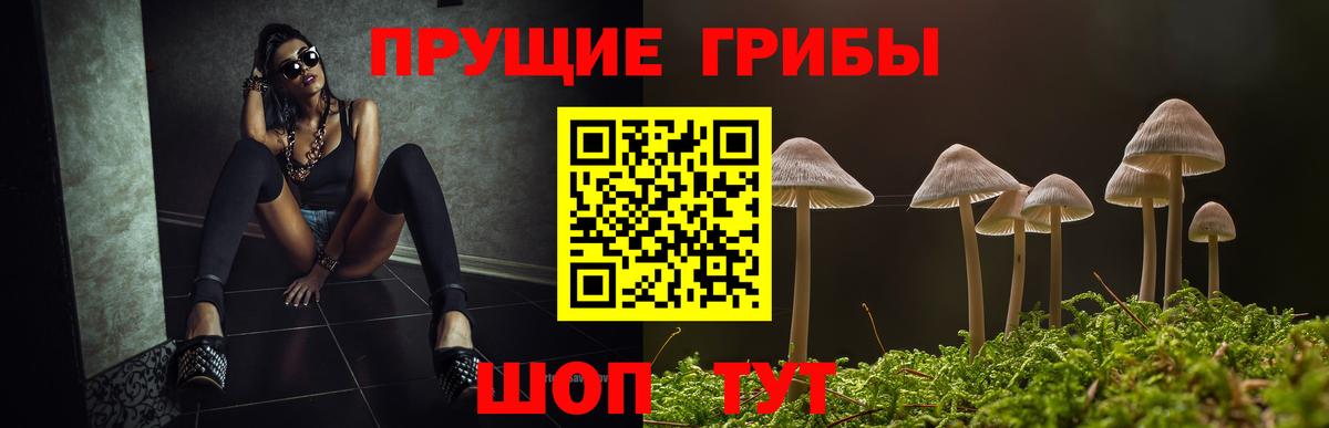 Галлюциногенные грибы GOLDEN TEACHER  Псилоцибиновые грибы ЛСД  Жигулёвск  Вход с VPN 